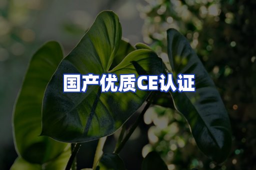 国产优质CE认证