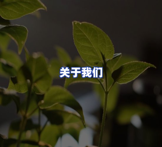 公司总部